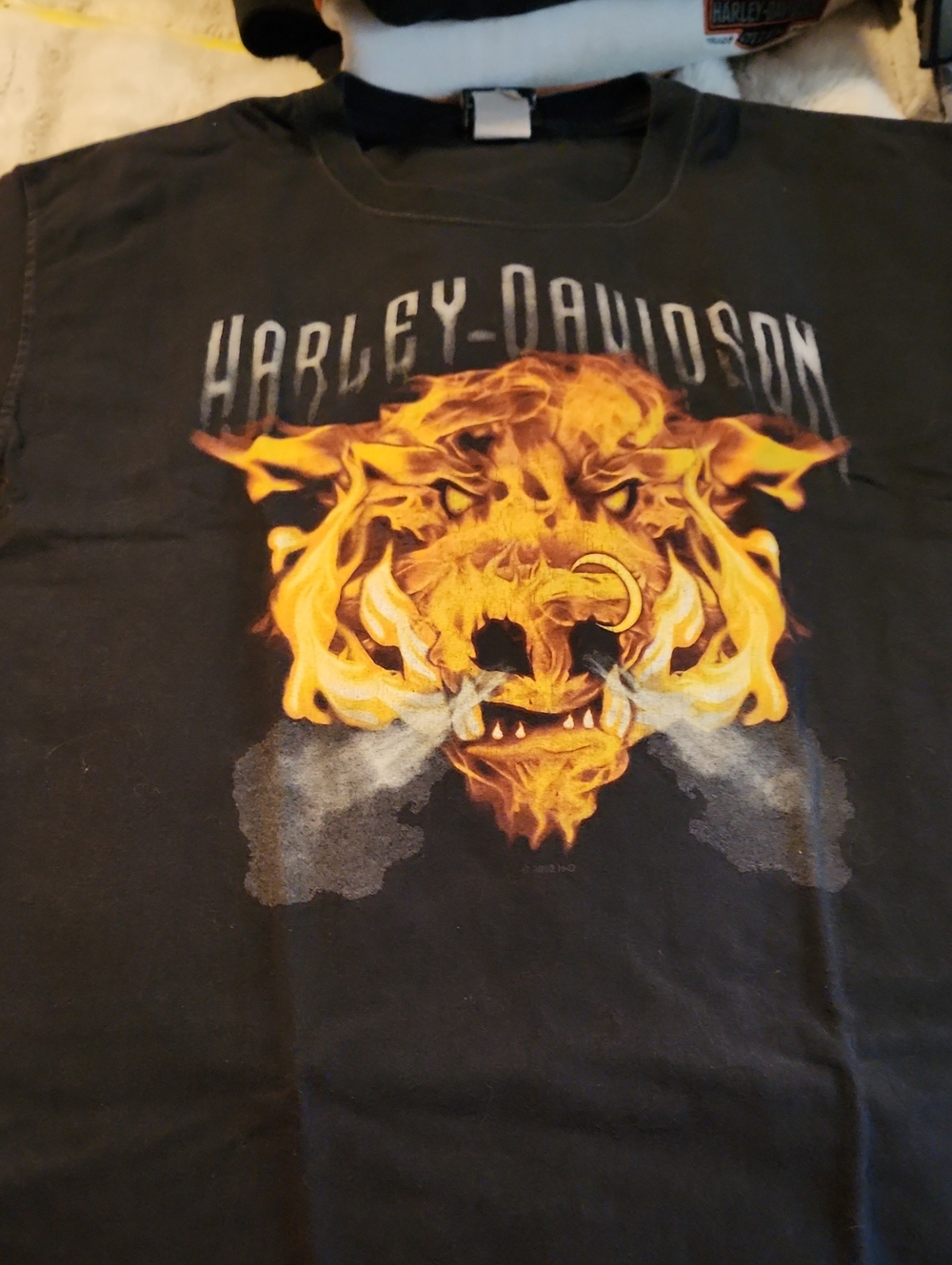 Harley-Davidson Men’s Black Graphic Flame Boar T-Shirt